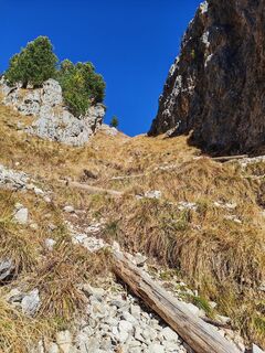 Fotografia z VESNA PETROVIČ na trase