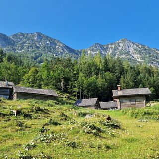 Trockentanalm