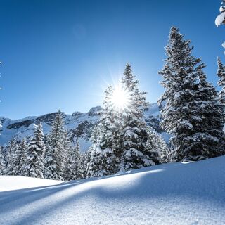 Winterlandschaft Gauertal
