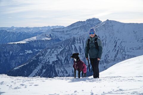 Winterwandern mit Hund am Pizol Panorama Höhenweg