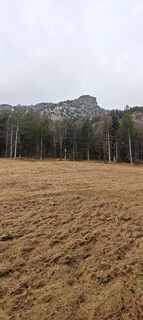 Fotografija s spletne strani Daniele Spezia na poti