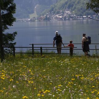 Ostuferwanderweg zwischen Bad Goisern am Hallstättersee und Obertraun