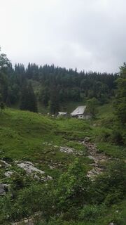 Herrenalm