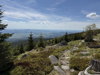 Photo de Norbert Herbig le long du parcours