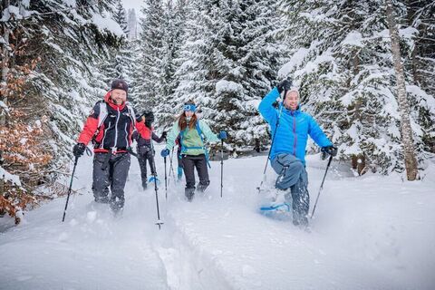 Spass und Action auf Schneeschuhen
