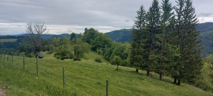 Zdjęcie z Klaus Gruber 3 wzdłuż trasy