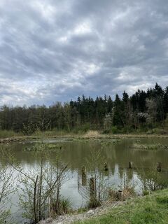 Foto de tracksau a lo largo del recorrido