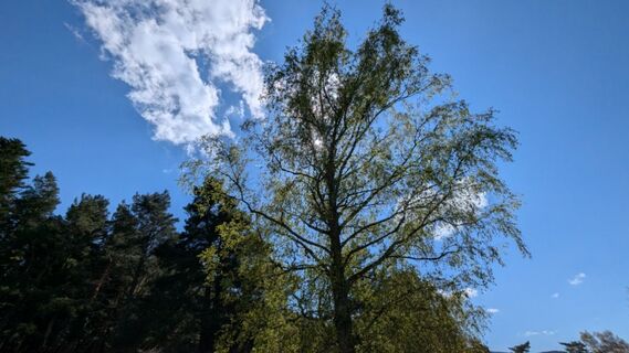 Photo de Richard Schwald le long du parcours