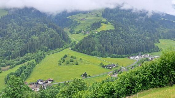 Foto de bacherling a lo largo del recorrido