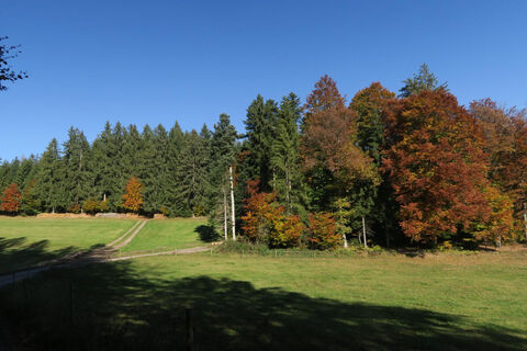 Herbst in Görwihl