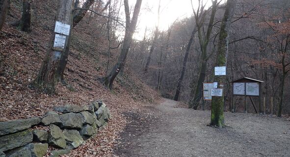 Eingang Hagenbachklamm