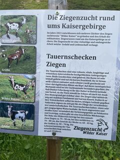 Foto von RoUlWoLe entlang der Tour