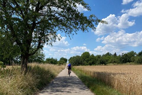 Radfahren in Ubstadt-Weiher