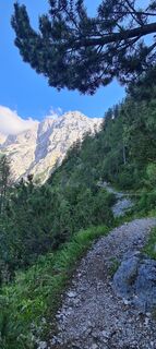 Photo de Martina Oitzinger le long du parcours