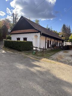 Photo de Klaudia Ramm le long du parcours