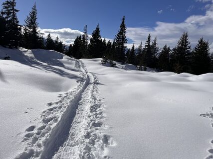 Fotografia z Erich Graf 2 na trase