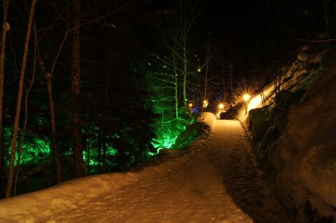 Beleuchteter Bachweg in Forstau