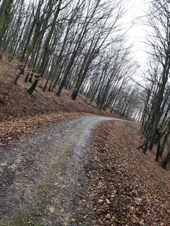 Foto von King-Ironimus Colbert entlang der Tour