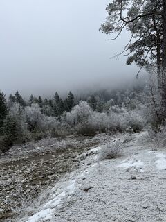 Foto de Denise Miller a lo largo del recorrido