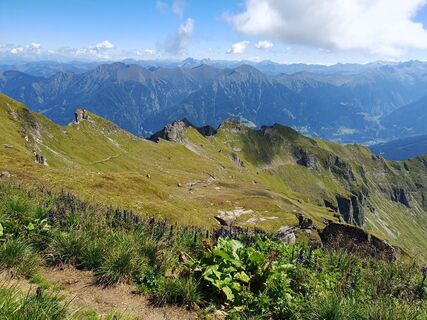 Fotografija s spletne strani Marie-Louise Kohn na poti