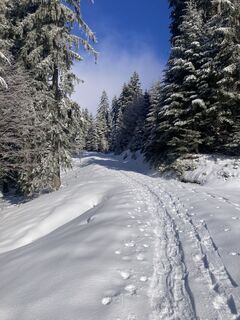 Fotografia z Tomáš Nejeschleba na trase