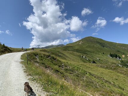 Fotografia z Koen De Wit na trase