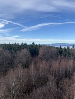 Fotografija s spletne strani Meszaros Marianna na poti