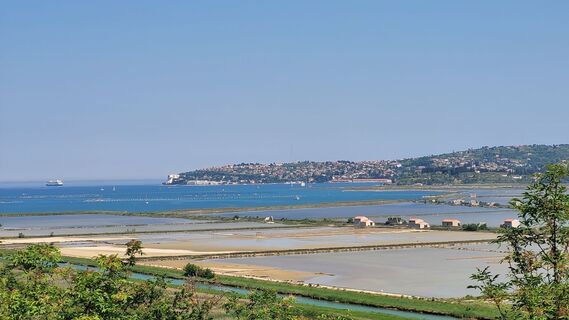 Foto från mtb@wexl under resans gång