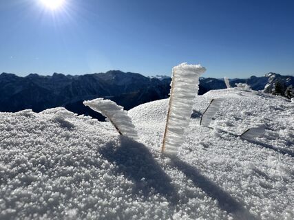 Zdjęcie z Natur_erleben_dg wzdłuż trasy