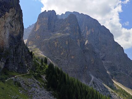Fotografija s spletne strani Lodovica Vecchi na poti