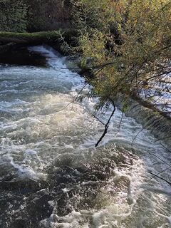 Photo de Klaus-Maus le long du parcours