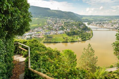 Blick vom Moselsteig auf Mehring