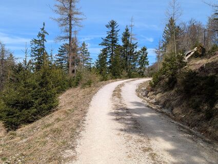 Fotografia z Hiking Hermit na trase