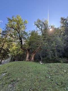 Fotografia z Bahn Micha na trase