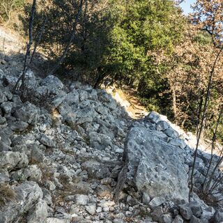 Ein Beispiel für das Gelände auf dem 409B Trail