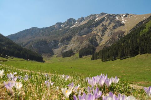 Zölzboden