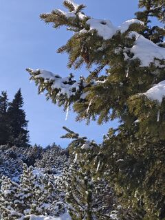 Fotografija s spletne strani Bergpirat na poti