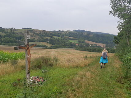 Zdjęcie z mmecki wzdłuż trasy