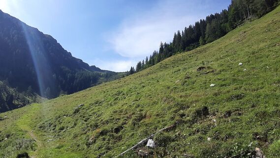 Wanderpfad Richtung Unterbergalm – Natur pur