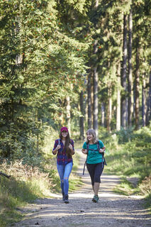 Wandern-Hocheifel