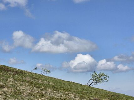Photo de Noreen (NoKe) le long du parcours