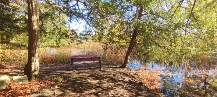 Photo de Christine Fischer le long du parcours