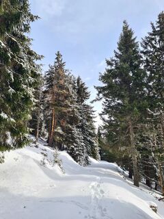 Foto von Eva Berdau entlang der Tour