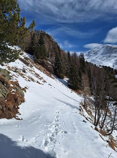 Fotografia z Dagmar Hofer na trase