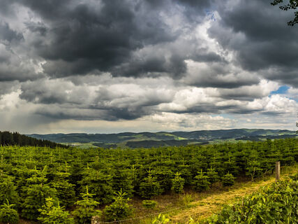 Aussicht am Wanderparkplatz "Am Brande"