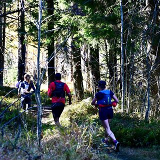 Märchenwald - Selibühl Trailrun