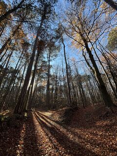 Photo de RS76 le long du parcours
