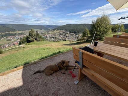 Fotografija s spletne strani Dominik na poti