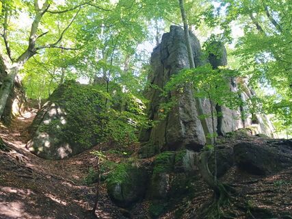 Foto von Andreas Beuster Huke entlang der Tour