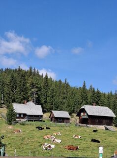 Foto de Gusterbernhard a lo largo del recorrido